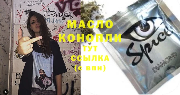 стаф Ельня