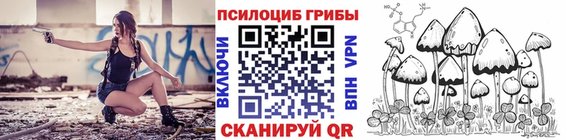 дарнет шоп нарко площадка состав Псилоцибиновые грибы прущие грибы Иркутск